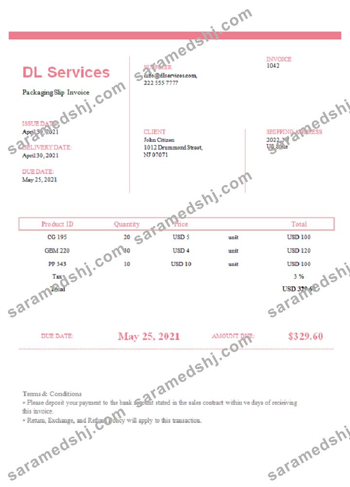 USA DL Services invoice